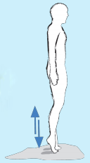 gimnastika9.png gimnastika9.png